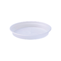 green basics orchid saucer 14cm transparente
